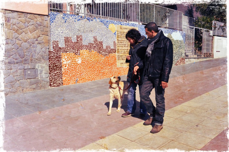 adiestramiento a domicilio en abrera