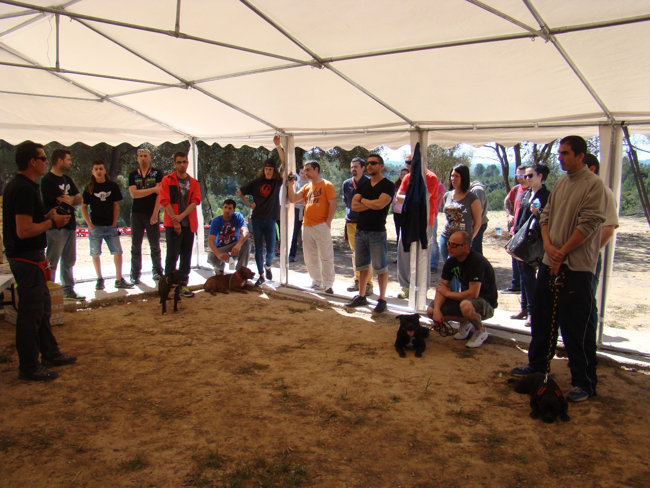 Cursos para Perros en Abrera Barcelona